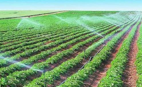 黄色网站在干艹农田高 效节水灌溉